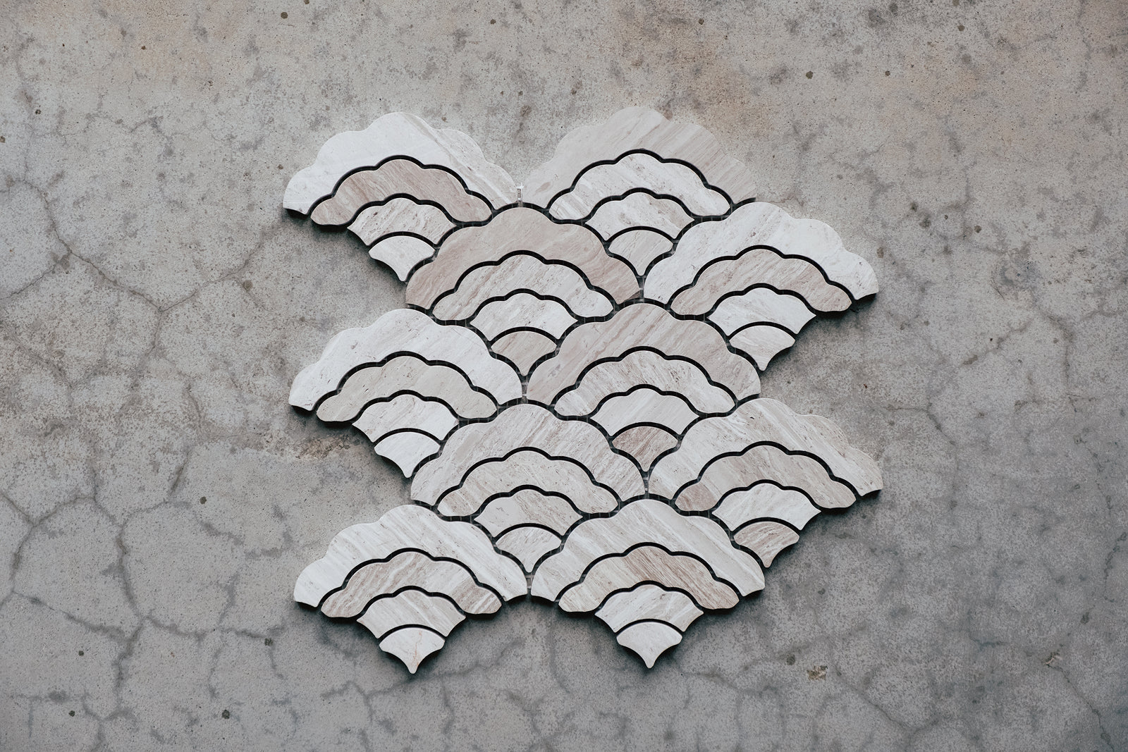 Scallop Fan
